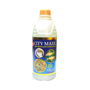 City Maxx