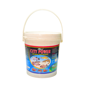 City Power
