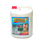 Ammonil