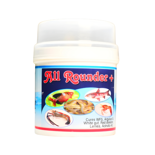 All Rounder Plus