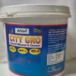 City Grow