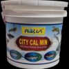 City Cal Min
